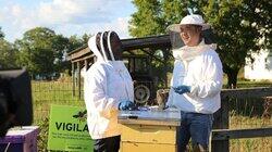 Bee Keeping Bee Keeping