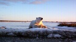 Wonders of the Arctic Wonders of the Arctic