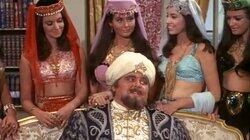 The Sultan Has Five Wives The Sultan Has Five Wives