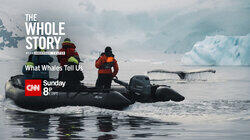 What Whales Tell Us What Whales Tell Us