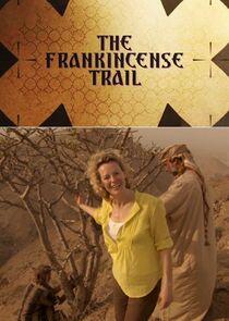 The Frankincense Trail The Frankincense Trail
