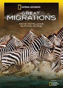 Great Migrations Great Migrations