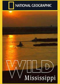 Wild Mississippi Wild Mississippi
