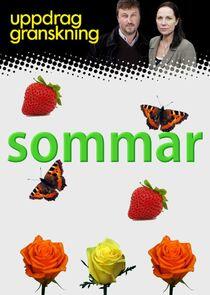 Uppdrag granskning sommar Uppdrag granskning sommar