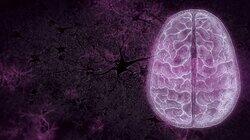 Your Brain: Perception Deception Your Brain: Perception Deception