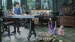 The Reptile Room: Part One The Reptile Room: Part One