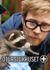 Djursjukhuset Djursjukhuset