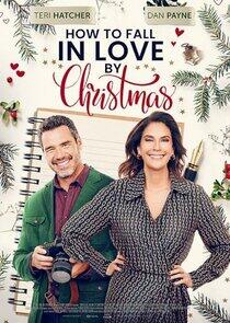 How to Fall in Love by the Holidays How to Fall in Love by the Holidays