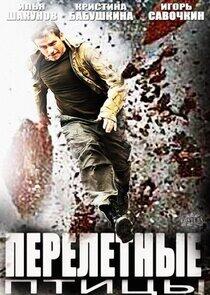 Перелётные птицы Перелётные птицы