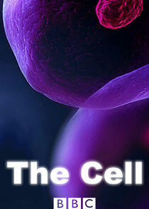The Cell The Cell