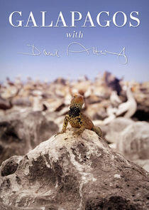 Galapagos with David Attenborough - Season 1 Galapagos with David Attenborough - Season 1