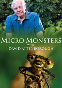 Micro Monsters with David Attenborough - Season 1 Micro Monsters with David Attenborough - Season 1