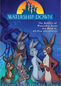 Watership Down Watership Down