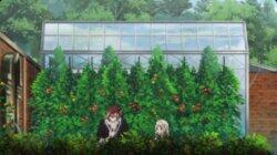 Episode 4 Episode 4