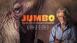 Jumbo: The Life of an Elephant Superstar Jumbo: The Life of an Elephant Superstar