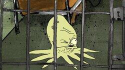 Dead Squid Walking Dead Squid Walking