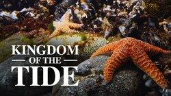 Kingdom of the Tide Kingdom of the Tide