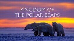 Kingdom of the Polar Bears: Part 2 Kingdom of the Polar Bears: Part 2