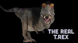 The Real T.Rex The Real T.Rex
