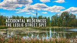 Accidental Wilderness: The Leslie Street Spit Accidental Wilderness: The Leslie Street Spit