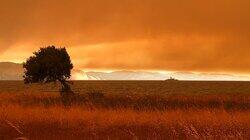 Greece's Megafires Greece's Megafires