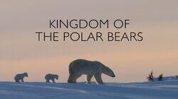 Kingdom of the Polar Bears: Part 1 Kingdom of the Polar Bears: Part 1