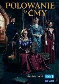 Polowanie na cmy Polowanie na cmy