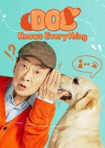 Dog Knows Everything Dog Knows Everything