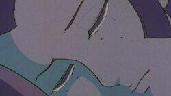 The Barn Princess The Barn Princess