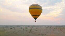 Thailand, New Zealand, Tasmania