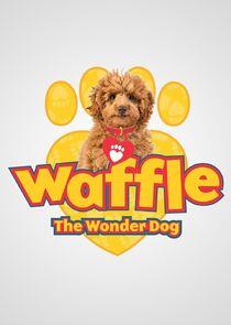 Waffle the Wonder Dog Waffle the Wonder Dog