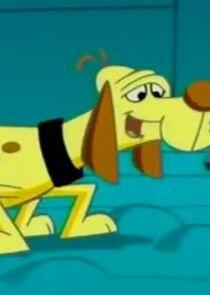 Paw Pooch Paw Pooch