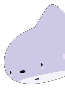 Shark
