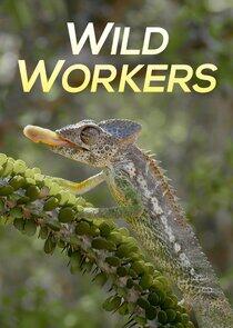 Wild Workers