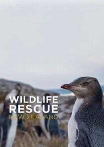 Wildlife Rescue New Zealand Wildlife Rescue New Zealand