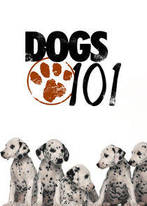 Dogs 101 Dogs 101