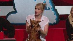 Iliza Shlesinger Iliza Shlesinger