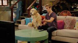 Doggie Daddy Doggie Daddy