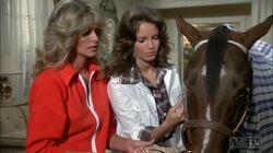 Consenting Adults Consenting Adults