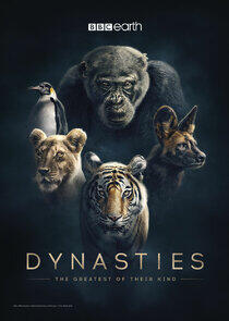 Dynasties - Season 1 Dynasties - Season 1