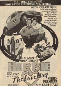 Herbie the Love Bug Herbie the Love Bug