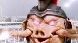 A Pig Surprise A Pig Surprise