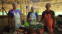 Jungle to Table in Costa Rica