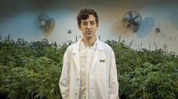 Beating Blindness & White Collar Weed Beating Blindness & White Collar Weed