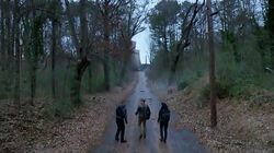 Bear Trap + Mob Boss Bear Trap + Mob Boss