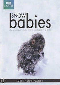 Snow Babies Snow Babies