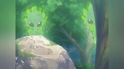Bless Our Forest! Bless Our Forest!