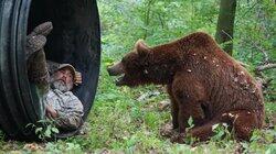 Teenage Bears Teenage Bears