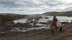 Akureyri: Waterfalls and Whales Akureyri: Waterfalls and Whales