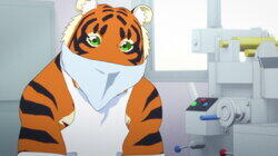 Vague Memories / It Depends on the Cat / My Specialty Vague Memories / It Depends on the Cat / My Specialty